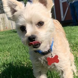 Meet your Posher, Natalie